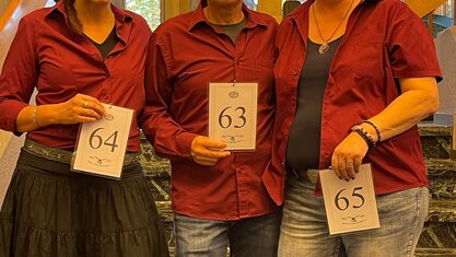 Deutsche Tanzsportabzeichen (DTSA) in Bronze erlangt